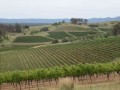 0102-1322 Milfield winery (1060843)